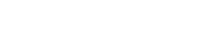 Royal Bucket Biryani