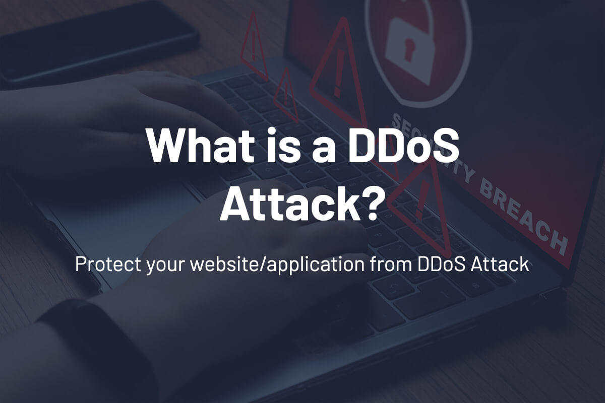 What is a DDoS Attack? Protect your website from DDoS Attack | Hyrrokkin