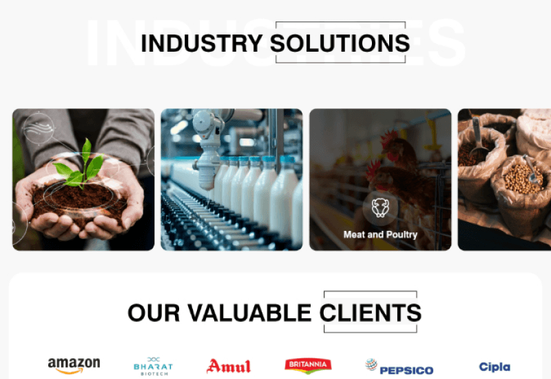 Website